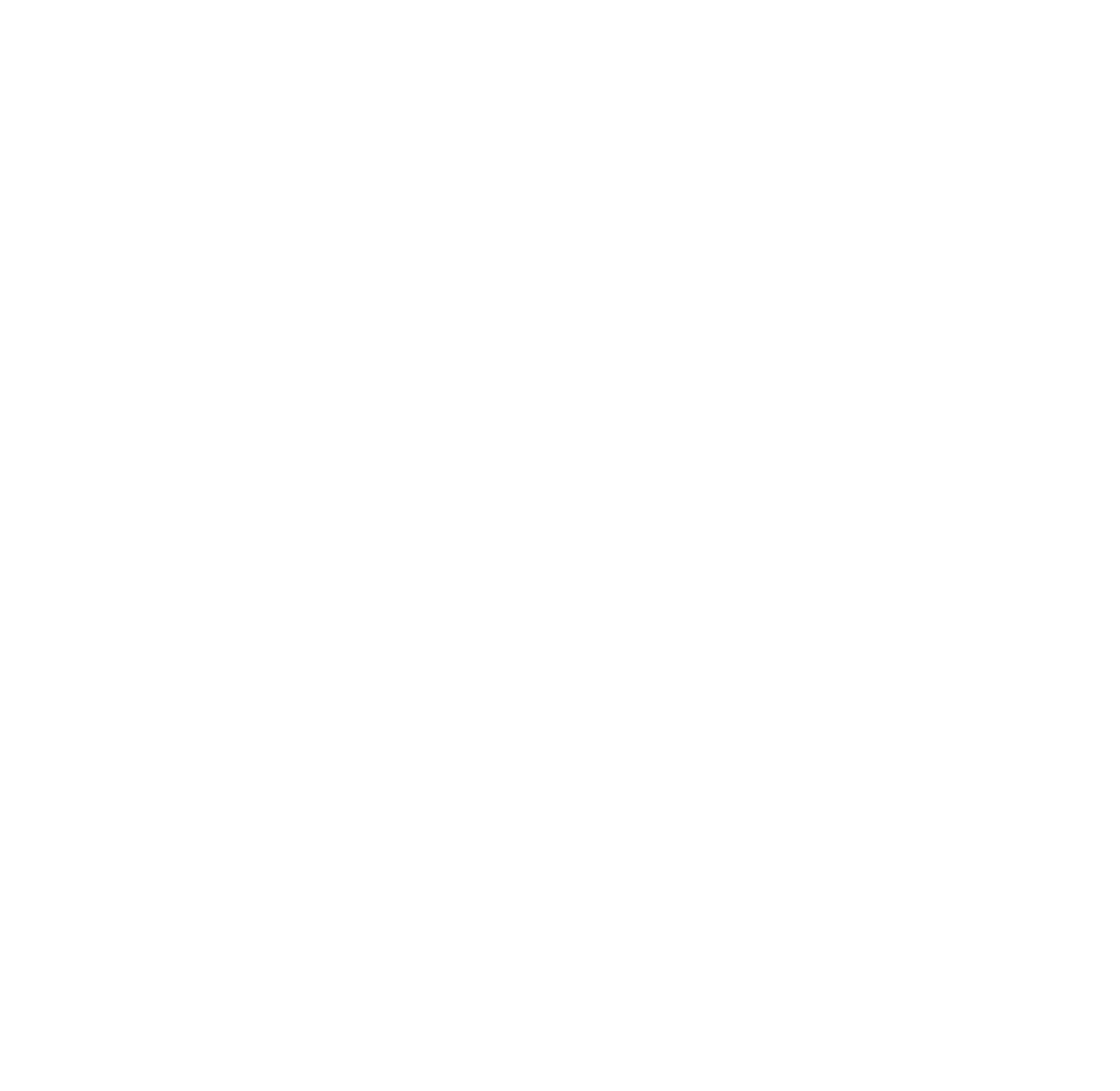 logo icon